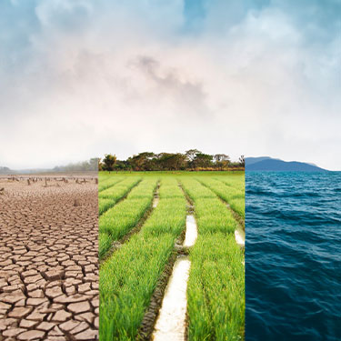 Rischio agricolo e assicurazioni 